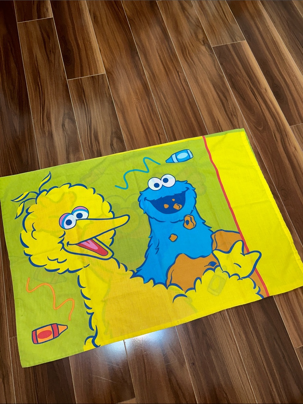 Twin single pillowcase Elmo big bird Cookie Monster Sesame Street